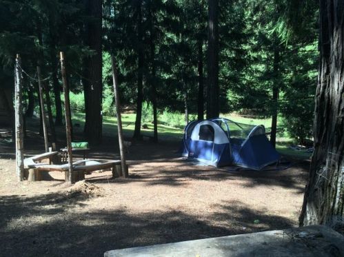 16199 Pioneer Creek Rd, Pioneer CA  95666-9415 exterior