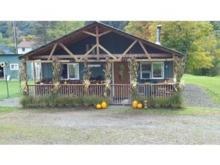 17 Eastman Hill Rd, South Danby, NY 13864-1225