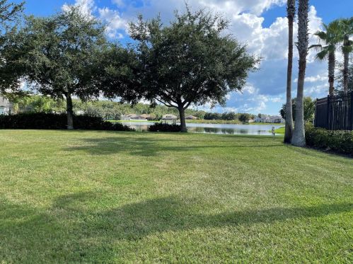 15408 Princewood Ln, Land O Lakes FL  34638-6873 exterior