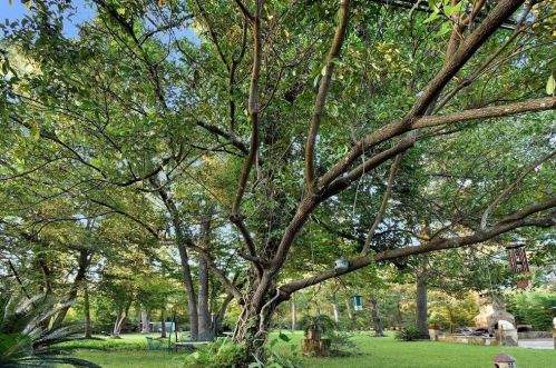 10487 Darby Loop, Conroe TX 77385-7407 exterior