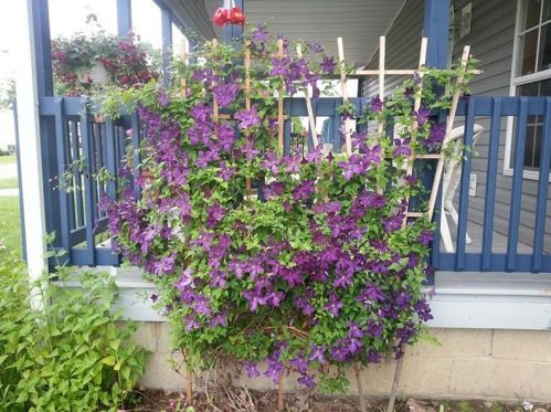 1806 8th St, Beaver Falls PA  15010-2808 exterior