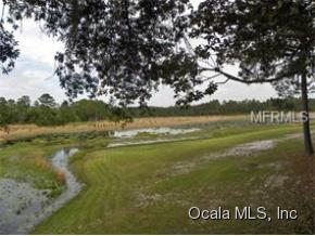 9339 197th Ave, Ocklawaha, FL 32179-3966