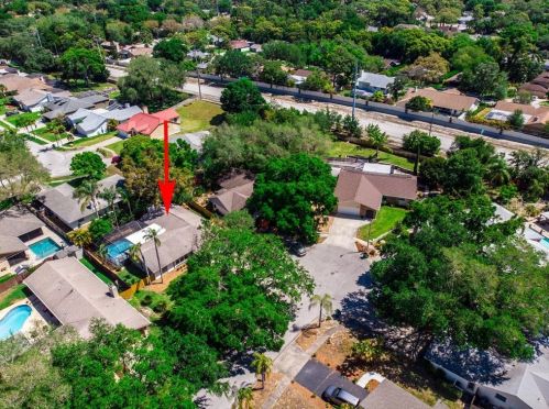 1163 Ridgecrest Ct, Palm Harbor FL  34683-2732 exterior