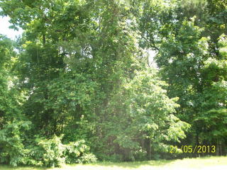 5905 Brookland Dr, Sumter SC  29154-8654 exterior