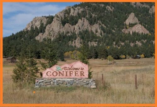 8793 Martin Ln, Conifer, CO 80433-9720