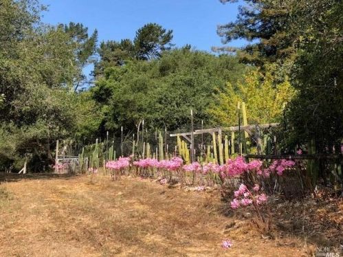 3431 Burnside Rd, Sebastopol CA  95472-9139 exterior