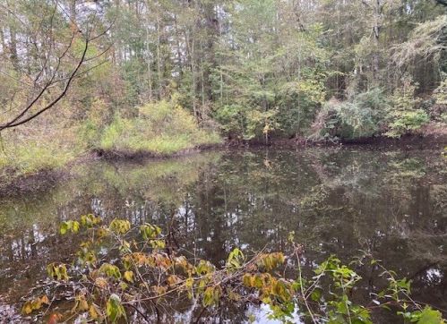 1425 Martintown Rd, North Augusta SC 29860-8407 exterior