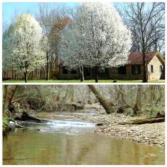 173 Urban Farms Rd, Manchester, TN 37355-5173