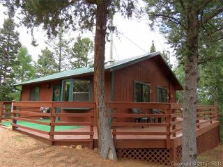 307 Sportsman Ln, Divide, CO 80814-7703