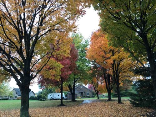 1930 Upper Valley Dr, West Jefferson, OH 43162-9568