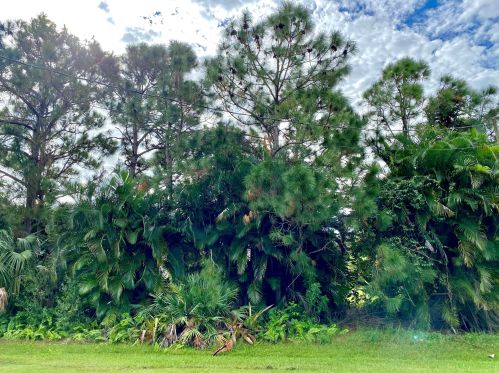 5996 Baynard Dr, Fort Pierce FL  34986-3610 exterior