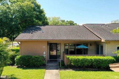 60 Iris Pl, Oldsmar, FL 34677-2337