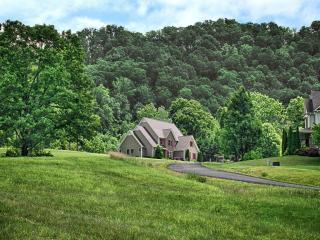 365 Seven Glens Dr, Weaverville, NC 28787-8468