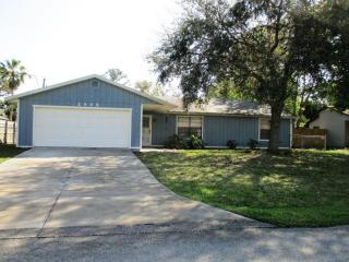 2409 Sabal Palm Dr, Edgewater, FL 32141-4913