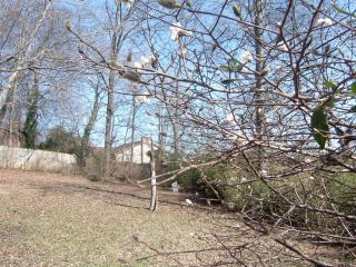 712 Banbury Rd, Knoxville, TN 37934-4715