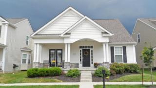6136 Carlatun St, Westerville, OH 43081-8093