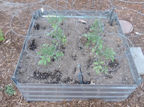 6577 Melrose Dr, North Highlands CA  95660-4378 exterior