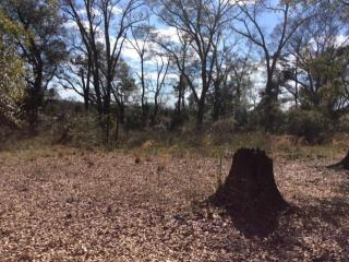 5213 Heisler Rd, Graceville, FL 32440-4269