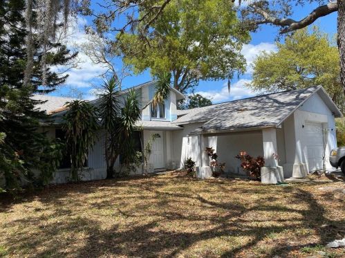 2437 Morning Glory Ct, Tarpon Springs, FL 34691-6802