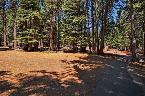 3626 Gold Ridge Trl, Pacific House CA  95726-9734 exterior