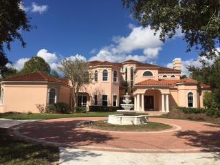 18714 Pepper Pike, Lutz, FL 33558-5303