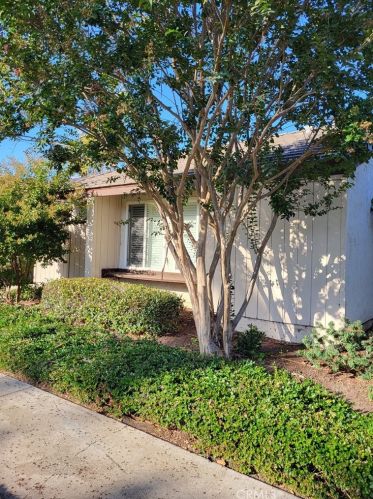 19 Orange Blossom, Irvine, CA 92618-4418