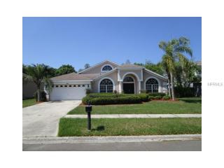 9244 Brindlewood Dr, Odessa, FL 33556-3154