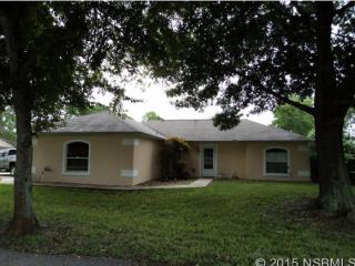 3004 India Palm Dr, Edgewater, FL 32141-6204