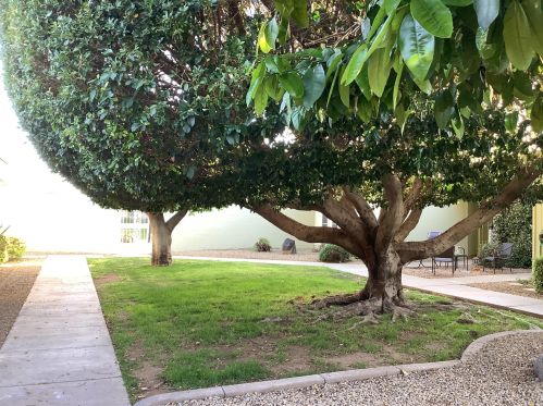 10937 Coggins Dr, Sun City AZ  exterior