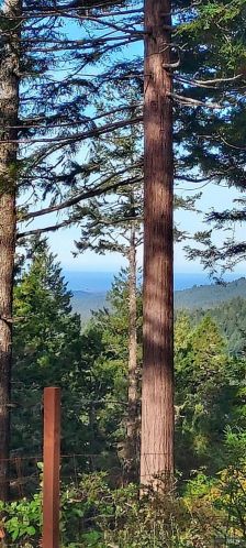 43400 Iversen Rd, The Sea Ranch CA  95445-7582 exterior