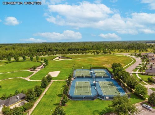 8239 Swiss Chard Cir, Land O Lakes FL  34637-7662 exterior