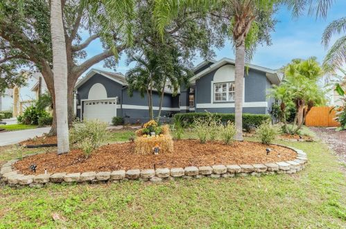 1105 Kingfish Pl, Ruskin, FL 33572-3056