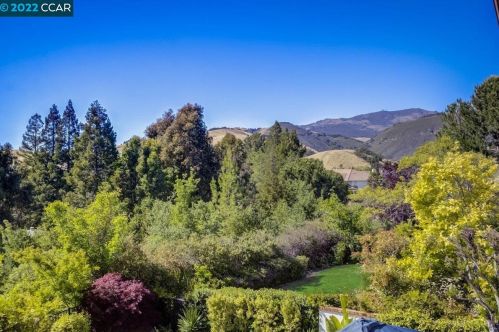 695 Blue Spruce Dr, Danville CA  94506-4524 exterior