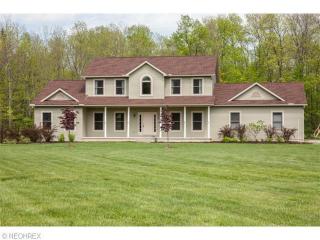 11909 Taylor Wells Rd, Concord Township, OH 44024-7900