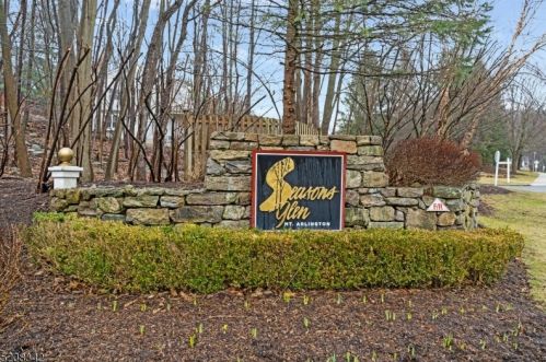162 Brookside Ln, Mount Arlington, NJ 07856-2306