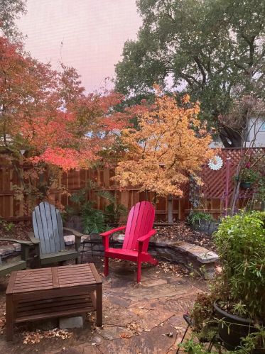 9959 Ferragamo Way, Elk Grove CA  95757-3037 exterior