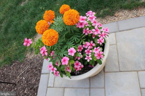 300 28th St, Camp Hill PA  17011-2801 exterior