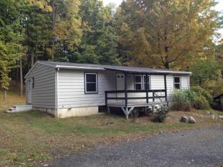 307 Summit Rd, Swiftwater, PA 18370-7765