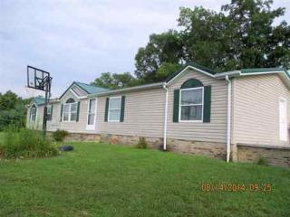 187 Blue Bird Ln, Jeriel, KY 41143-8726
