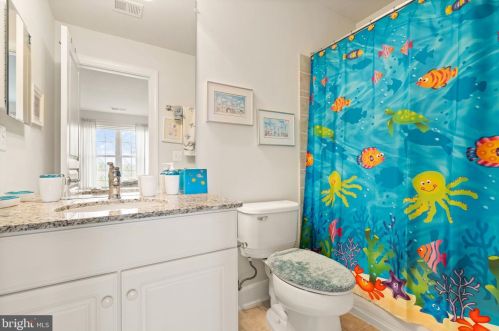 20906 Mcintosh Pl, Leesburg VA  20175-6372 exterior