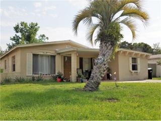 4824 Vanguard St, Orlando, FL 32819-8519