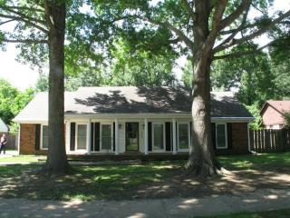 6322 Solway Dr, Memphis, TN 38119-7531