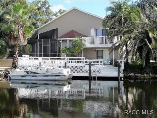 11967 Brookside Ct, Homosassa, FL 34448-3707