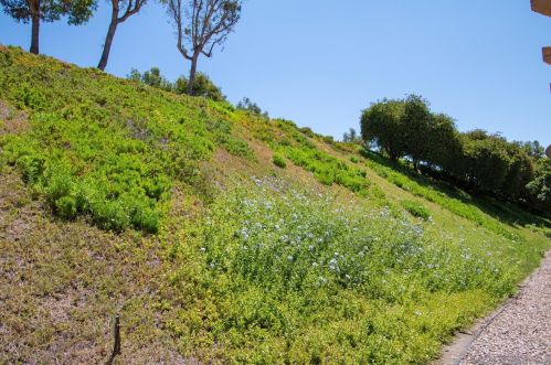 17977 Avenida Alozdra, San Diego CA 92128-1570 exterior