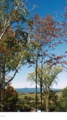7936 State Route 40, Hartford, NY 12838-2103