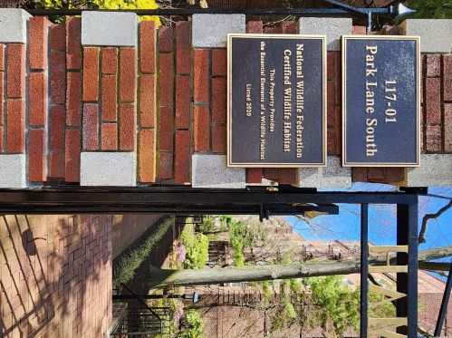 11701 Park Ln, Jamaica NY  11418-1014 exterior