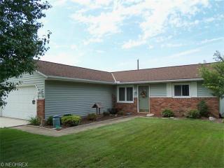 42172 Meadow Ln, Lagrange, OH 44050-9677