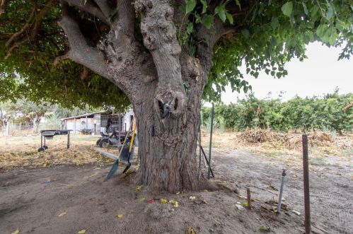 2617 Lincoln Blvd, Livingston CA  95334-9623 exterior