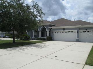 16924 Melissa Ann Dr, Lutz, FL 33558-8049