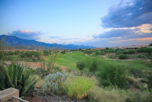 65805 Desert Ridge Dr, Tucson, AZ 85739-1171